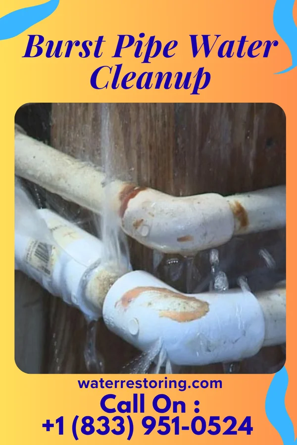 Burst Pipe Water Cleanup in Puget Island, WA