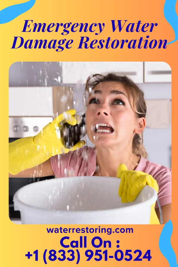 Emergency Water Damage Restoration in Puget Island, WA